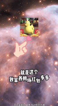致富养鸭场红包多多1